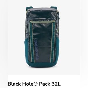 Patagonia Black Hole 32L weatherproof backpack Teal